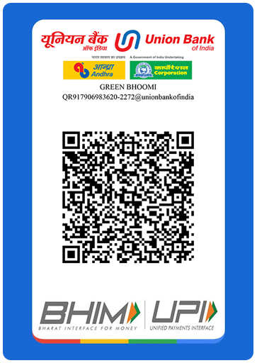 Google Pay QR Code